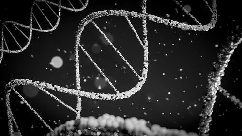 Nettoyage mémoires cellulaires